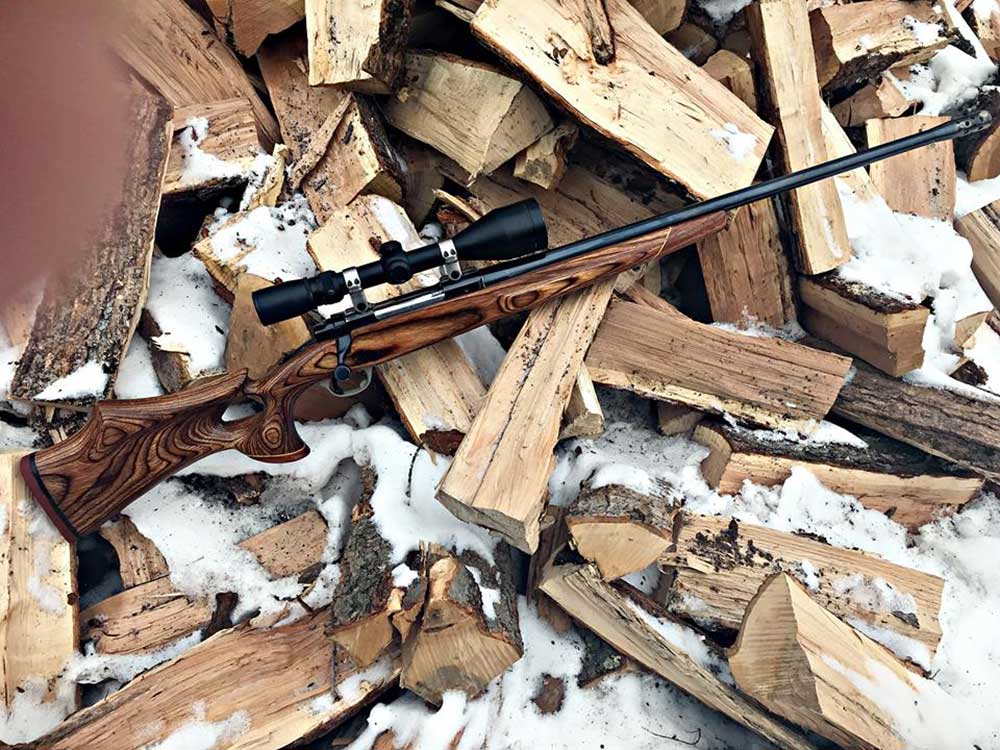 rifle laying on top of a wood pile