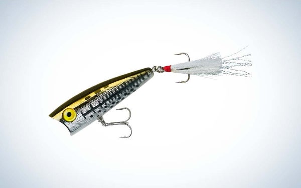 The Rebel Lures Pop-R Topwater Lure