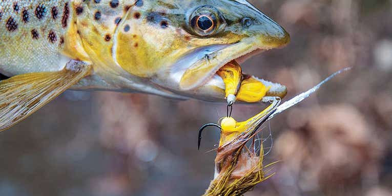 How to Tie and Fish one of the Best Streamers in Flyfishing