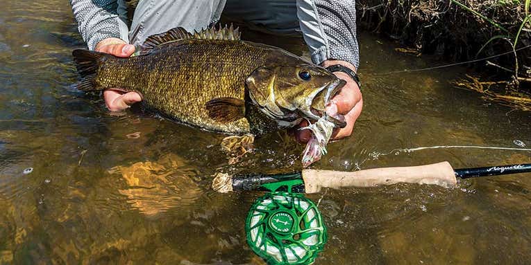 3 Fly Fishing Tricks to Catch More Smallmouth Bass