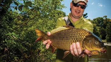The Ultimate Guide to Fly Fishing for Carp