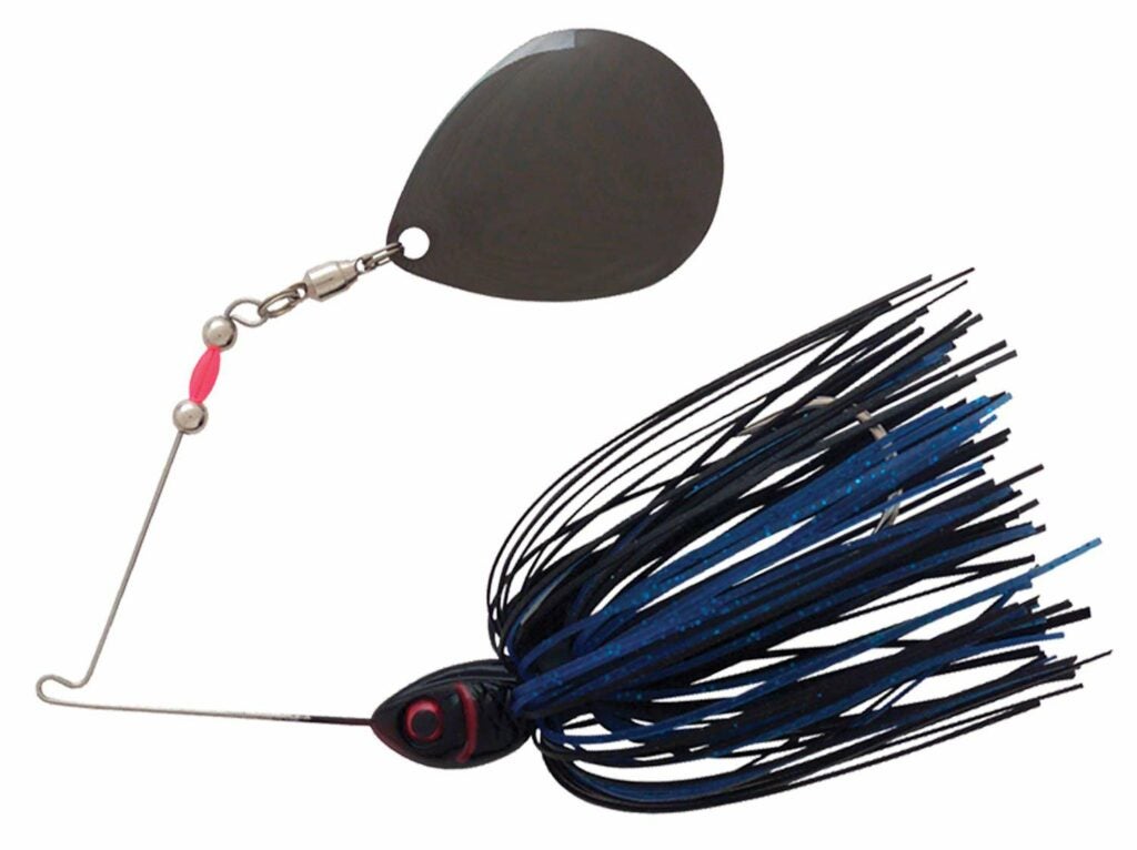colorado blade on a best spinner bait lure for bass