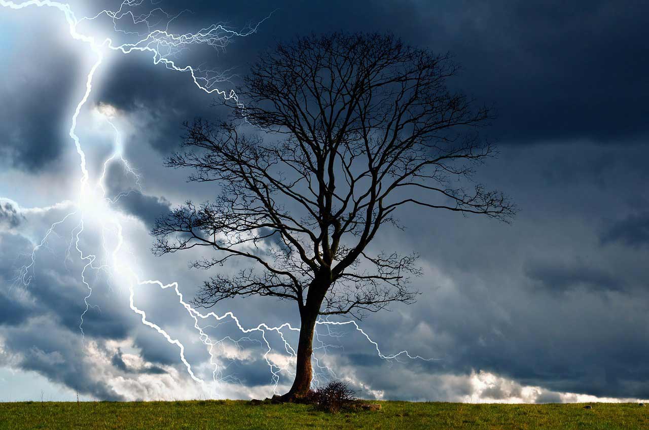 a tree on a field with a lightning storm in the background