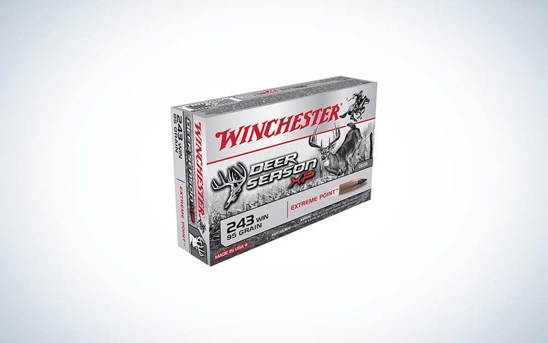 .243 Winchester rifle ammo, best varmint cartridges