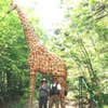 two archers standing in front of a large 3d giraffe archery target