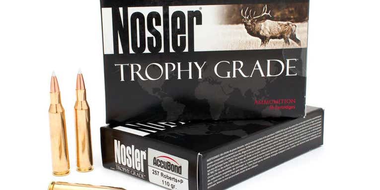 The 6.5 Creedmoor Hater’s Guide to Big-Game Cartridges