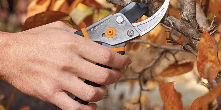 Three Things to Look For in the Best Pruning Shears