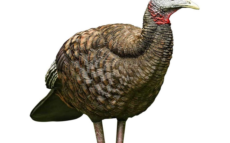 Avian-X Breeder Hen Turkey Decoy