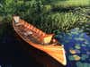 A cedar Adirondack guide boat floats on a bed of lily pads.