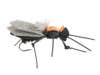 a caddisfly fly fishing lure