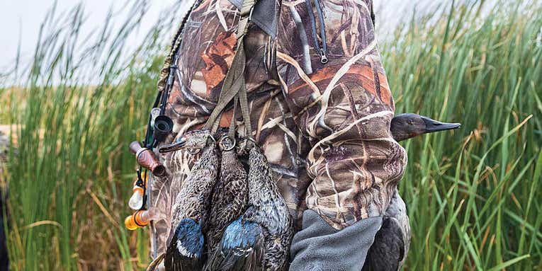 Duck Hunting Tips for Every Early Teal Season in the Country