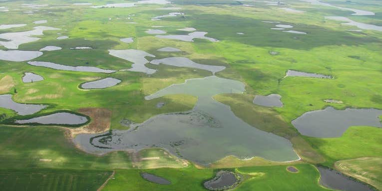 EPA Removes Water Protections and Rolls Back 2015 WOTUS Rule