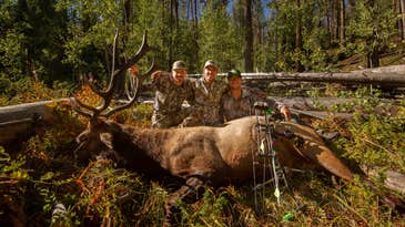 11 Elk Hunting Must-Haves for a Successful Season