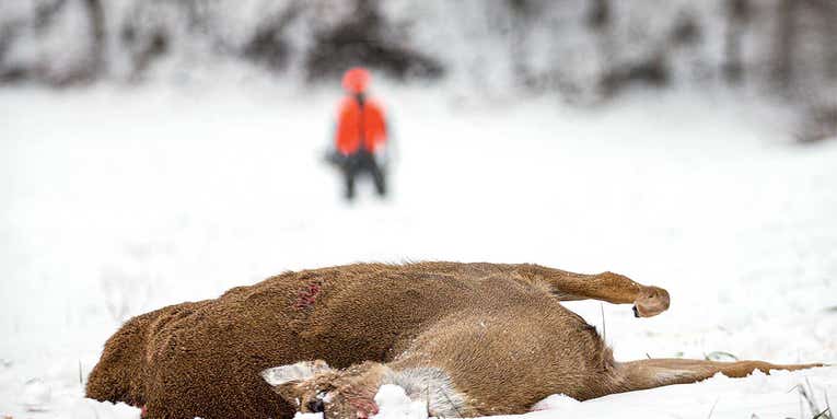 Why I Don’t Take Long Shots When Deer Hunting