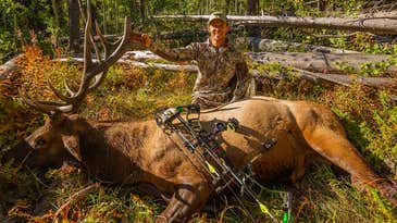 5 Steps To Taking An Elk With An Over-The-Counter Tag
