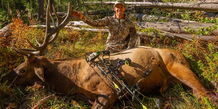 5 Steps To Taking An Elk With An Over-The-Counter Tag