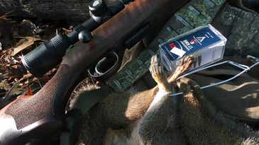The Best Magnum Rimfire Rifles and Ammo for Squirrel Hunting