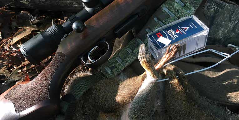 The Best Magnum Rimfire Rifles and Ammo for Squirrel Hunting