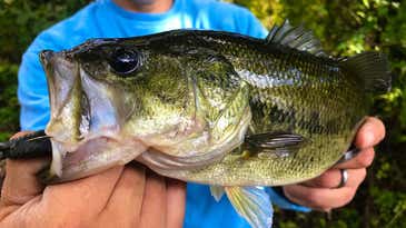 10 Best Fall Largemouth Hotspots You Won’t Want to Miss