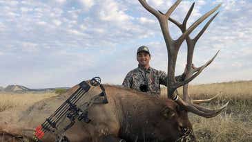 9 Expert Elk Hunting Tips for Public Land Hunters