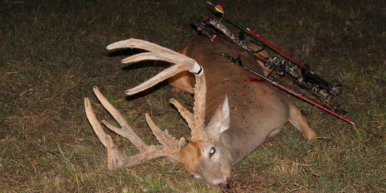 Kentucky Hunter Shoots a New Record Velvet Whitetail