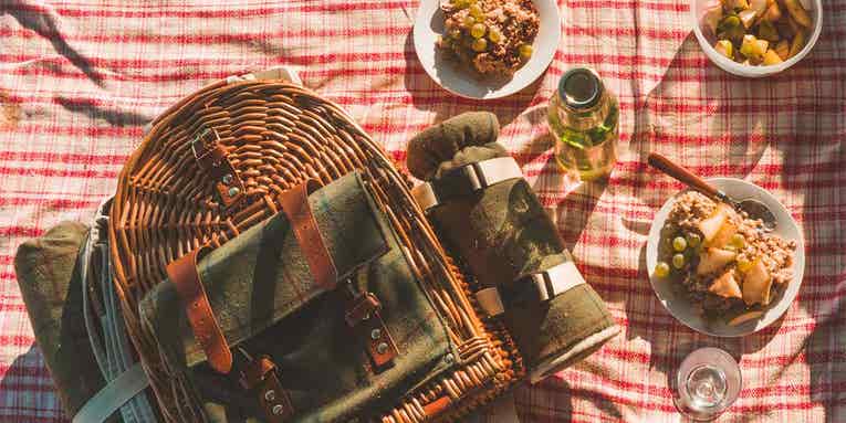 Picnic Like a Pro with the Perfect Picnic Basket