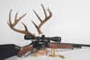 a 45-70 springfield rifle and deer antlers