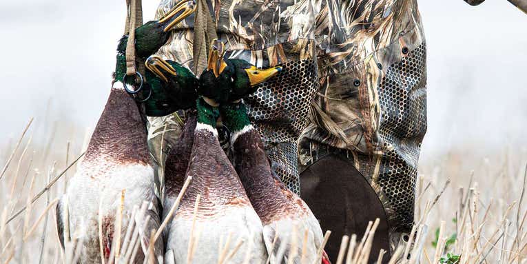 5 Tips for DIY Duck Hunting in the Prairie Pothole Region