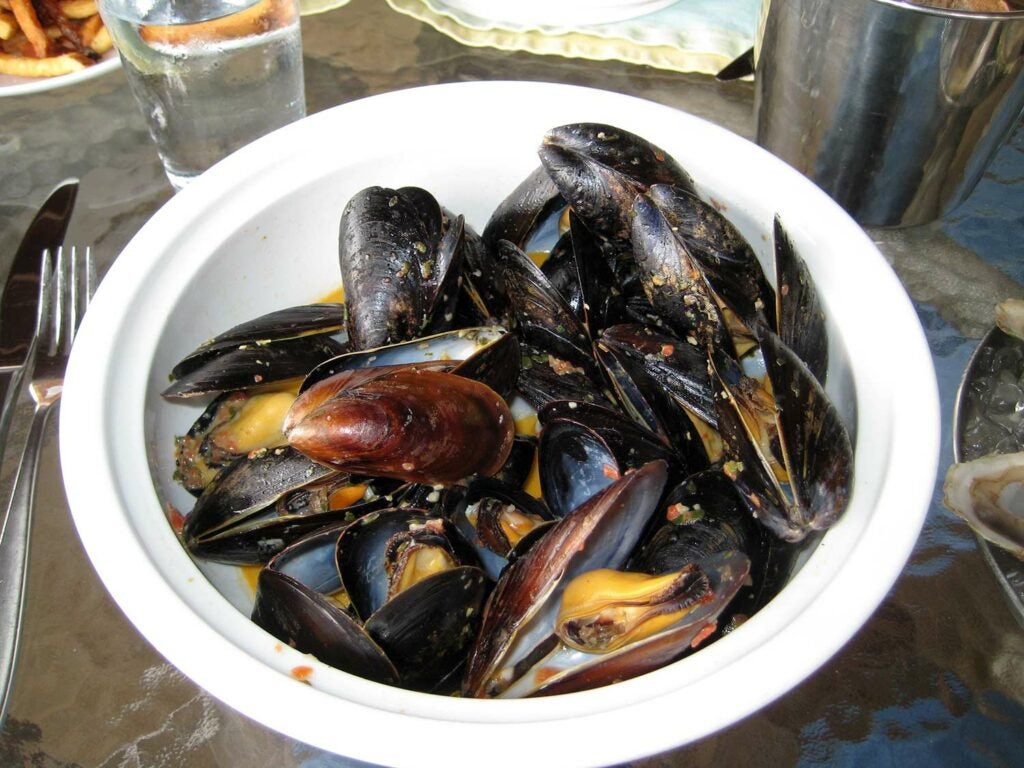 cooked Mussels.