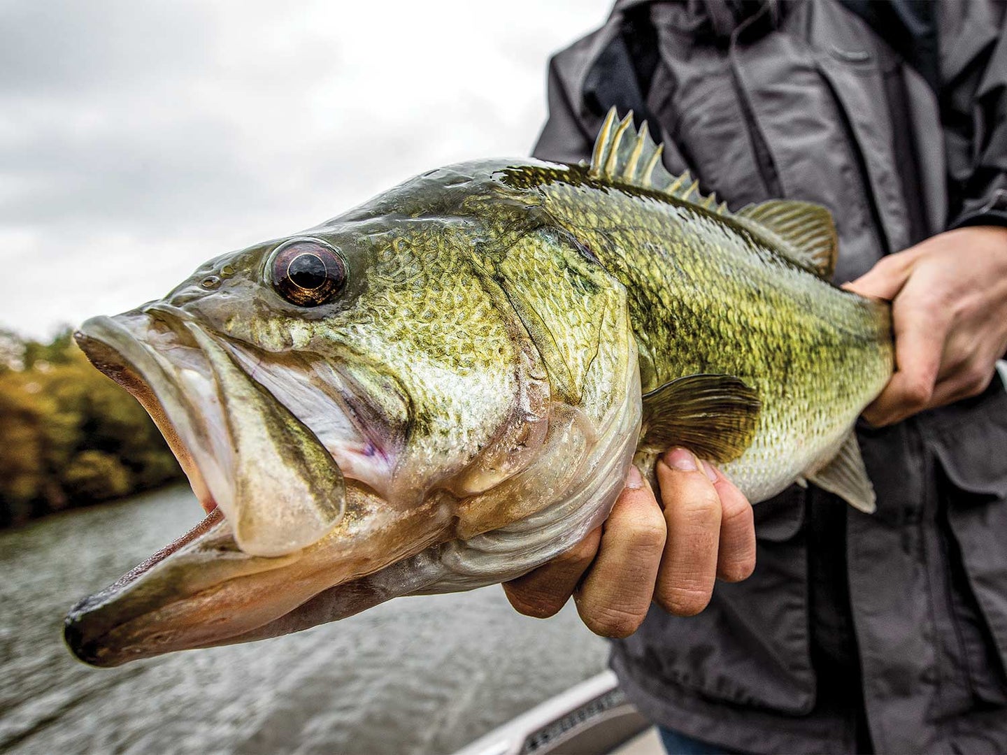 Fire Up for Fall Largemouths - In-Fisherman