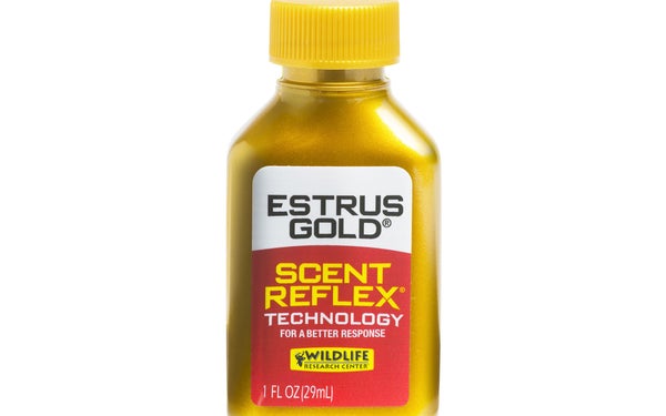 Estrus Gold synthetic doe urine