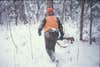 hunter in orange walking through snowy woods