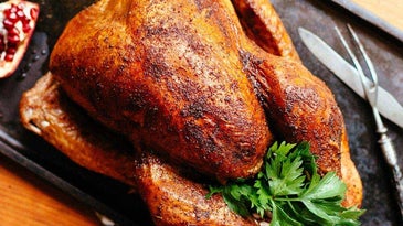 Beautiful golden roasted turkey