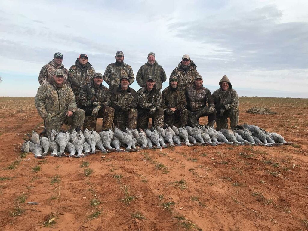 sandhill crane hunting group in Texas