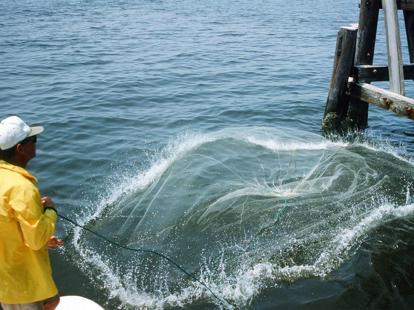fisherman casting a net in the water