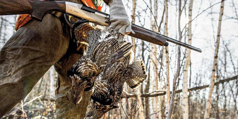 Expert Tips on Hunting Ruffed Grouse in Winter