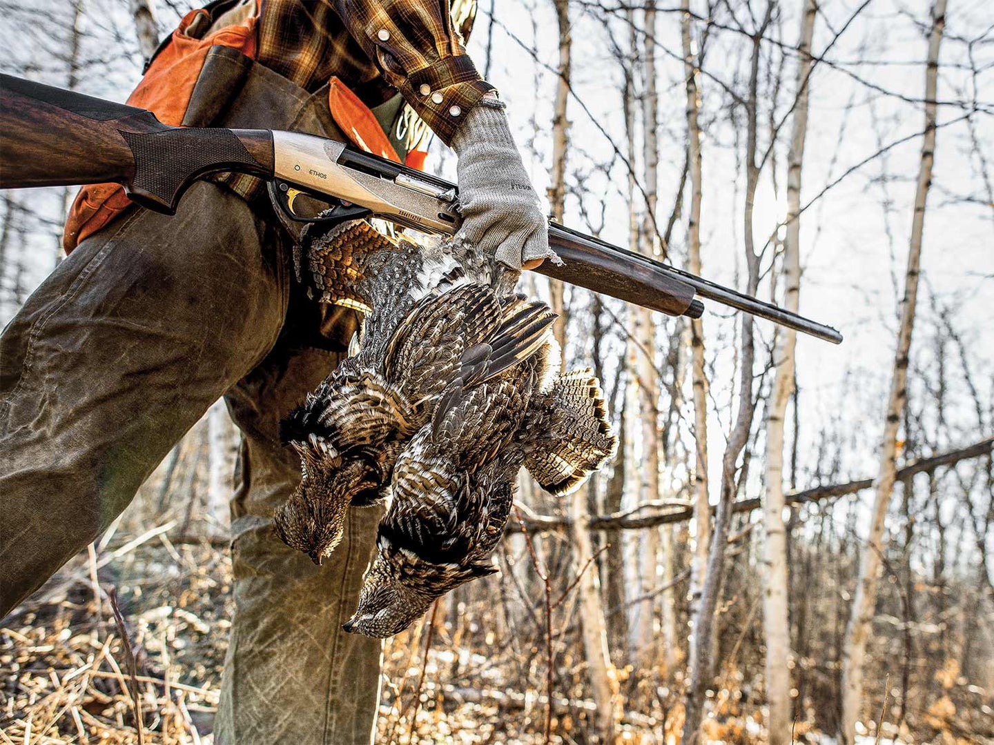 a hunter carrying late-season grouse through the woods.