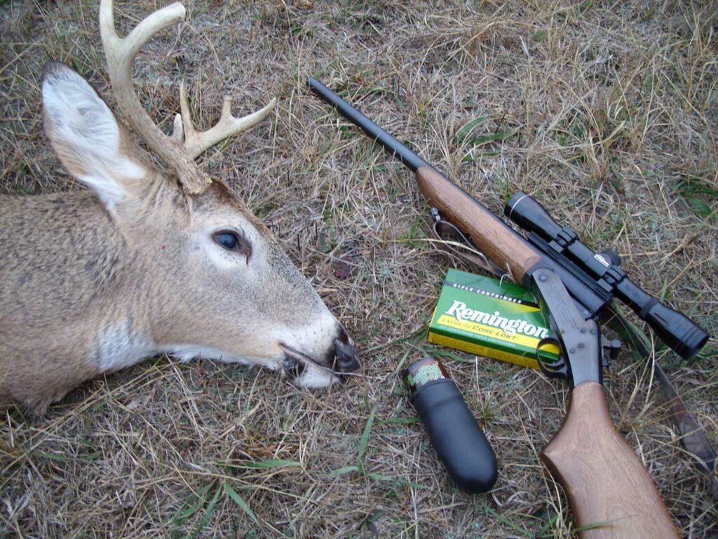 a deer next to a hunting rifle and ammo.