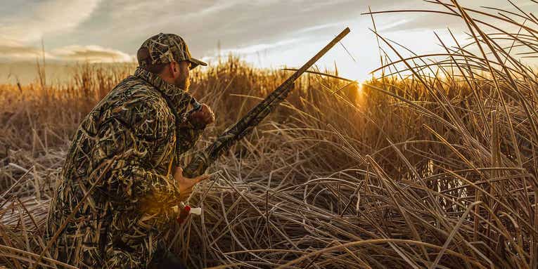How to Choose the Best Gun and Load for Late Season Waterfowl