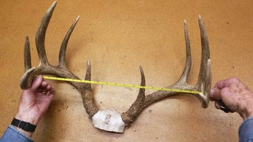 How to Score a Buck the Right Way
