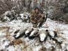 how to hunt late-season geese, author