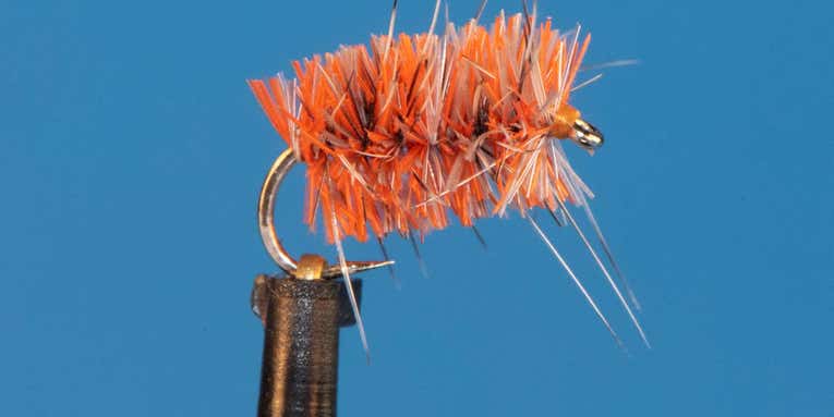The Best Winter Fly Patterns for Trout