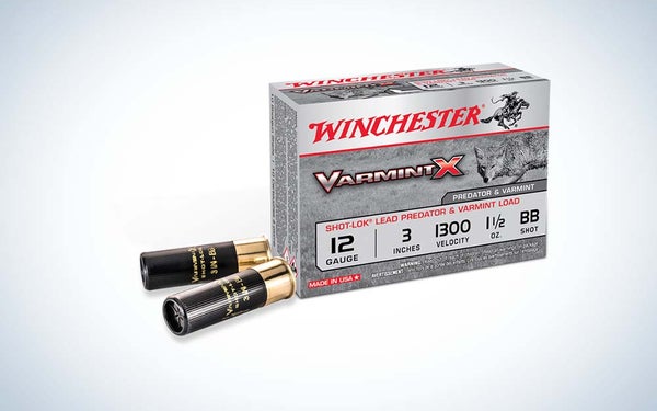 Winchester VarmintX Shotgun shells