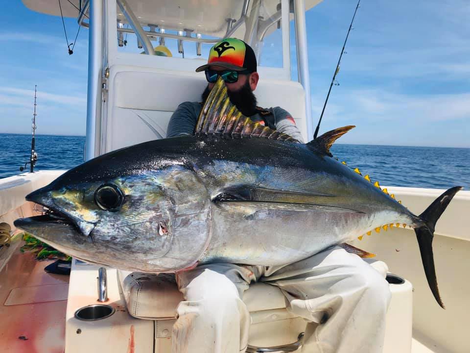 Angler holding a giant bigeye tuna.