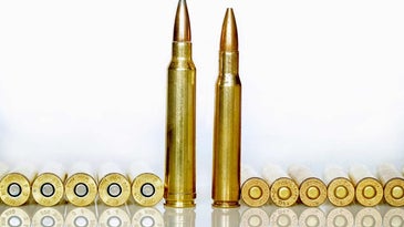 300 Win Mag vs. 30-06 Springfield: Battle of the Big-Gamers