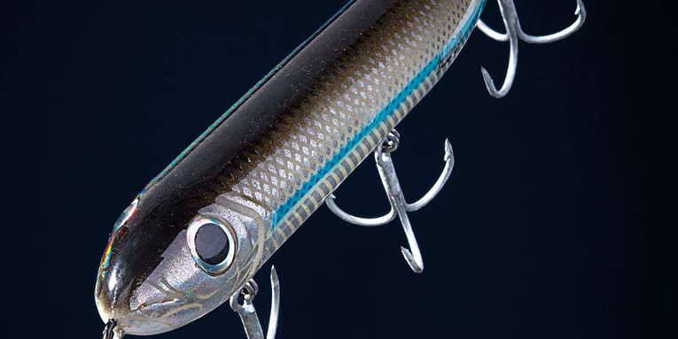 How to Fish for Seatrout at Night