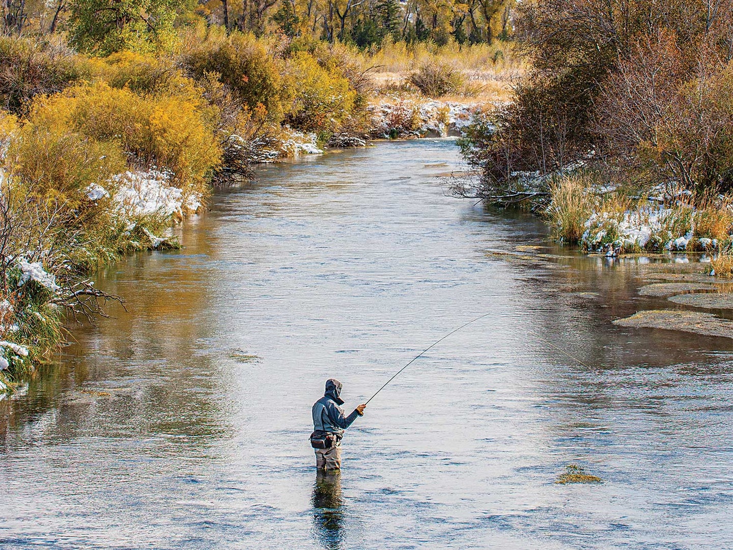 A fly angler fishing for steelhead trout in a stream.