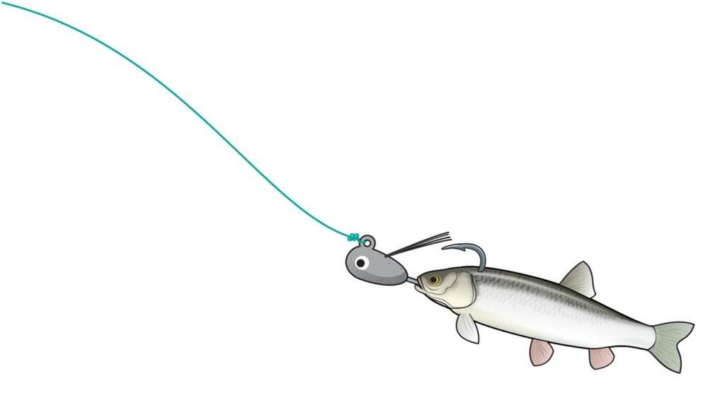 Minnow-and-Brush Jig Rig
