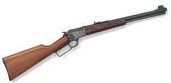 The Marlin 39A TDS take down system.