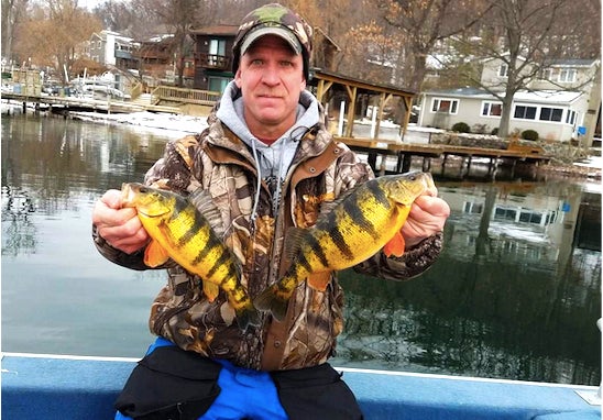 Angler holding up perch fish.